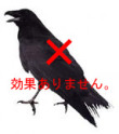 ガーデンバリアについて回答